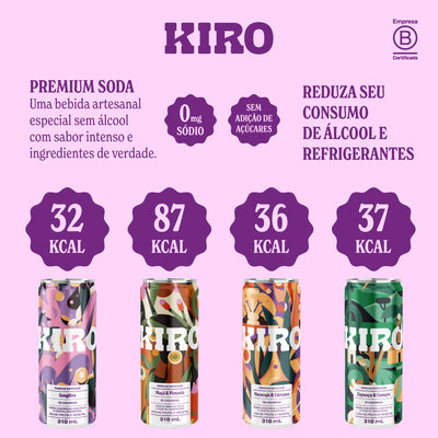 Caixa Mista 4 Sabores (12 un.)